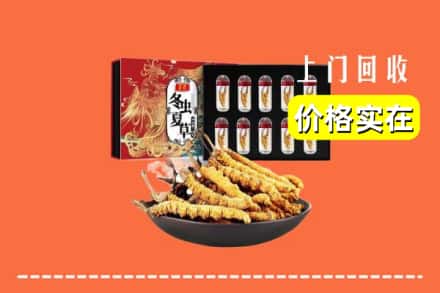 朝阳市回收冬虫夏草