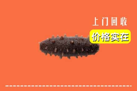 朝阳市回收海参