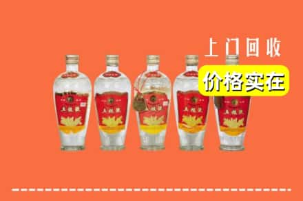 诚信求购:朝阳市高价回收老五粮液